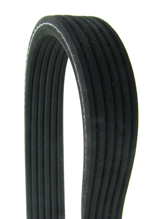Continental (500) D4060808 Dual-Sided Multi-V Belt, 80.80" Effective Length, 0.83" Top Width, 6 Ribs