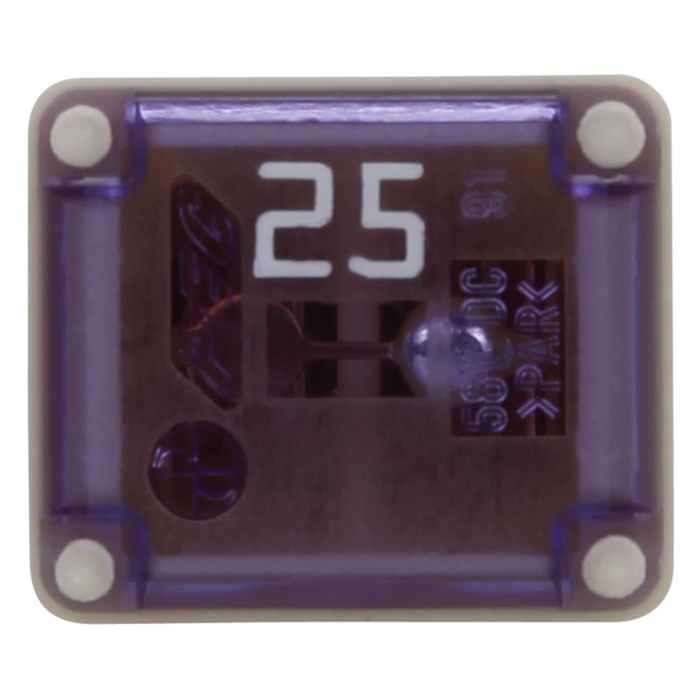 Bussmann FMX-25 FMX 25 AMP, POLYBAG