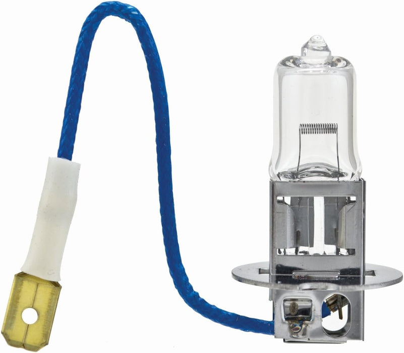 Hella (526) H3P50TB BULB H3 12V 55W PK22S T3.25 +50 (2)