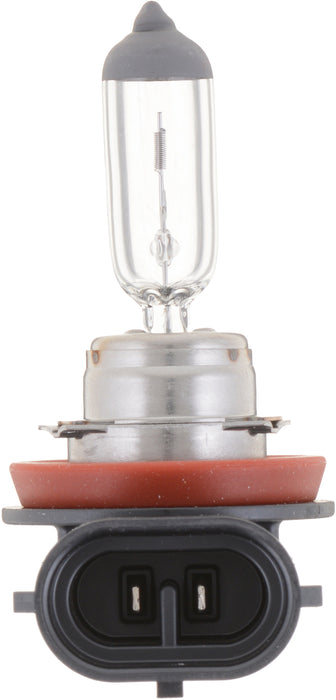 Philips Lumileds (335) H8C1 Philips Standard Fog Light H8, Box, Single