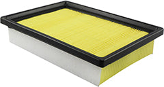 Baldwin (226) PA10039 Air Filter