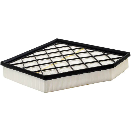 Baldwin (226) PA10094 Air Filter