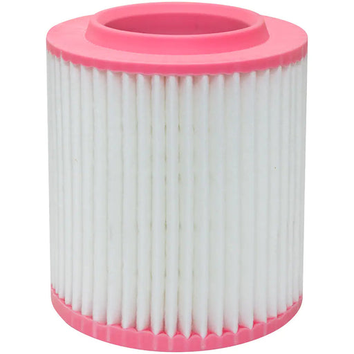 Baldwin (226) PA10119 Air Filter