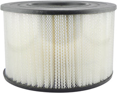 Baldwin PA2042 Air Filter