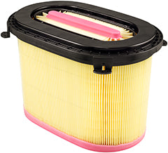 Baldwin (226) PA30118 Air Filter