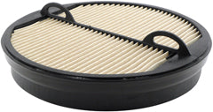 Baldwin PA5418 Air Filter
