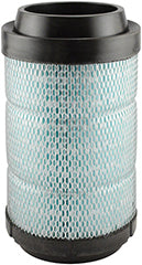 Baldwin (226) RS5285 Cabin Air Filter