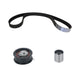 Continental TB242K3 Continental Pro Series Timing Belt Kit With Water Pump