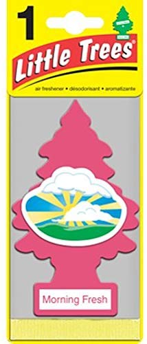 Car-Freshner U1P-10228 LITTLE TREES automotive air freshener | Morning Fresh (1 Pack)