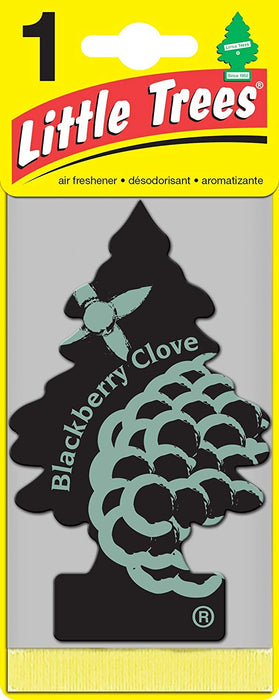 Car-Freshner (286) U1P-17343 LITTLE TREES automotive air freshener | Blackberry Clove (1 Pack)
