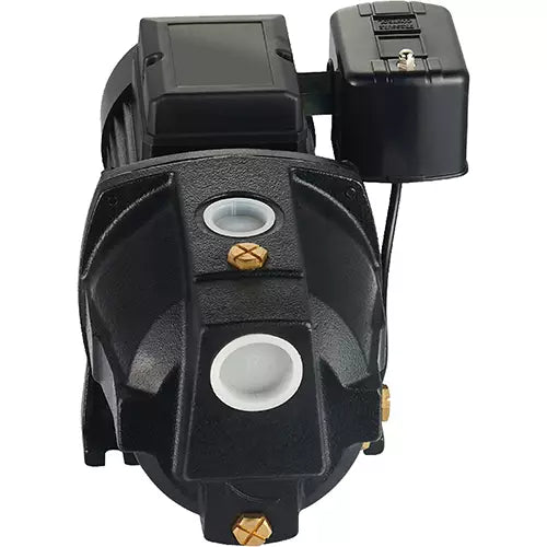 Dual Voltage Cast Iron Shallow Well Jet Pump - UJM100-1