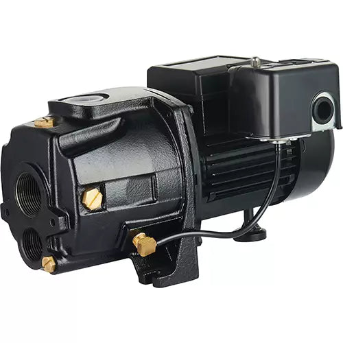 Dual Voltage Cast Iron Convertible Jet Pump - UDPM75-1