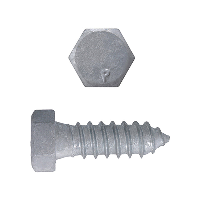 H. Paulin (680) 854-444 Paulin 5/16" x 1" Hex Lag Bolts Steel Galvanized 100 pcs