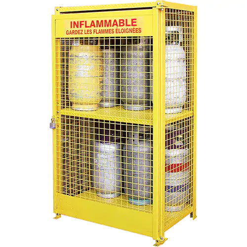 Gas Cylinder Cabinets - SAF847