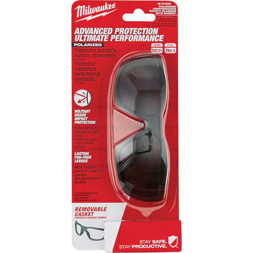 Performance Safety Glasses with Gasket - 48-73-2045