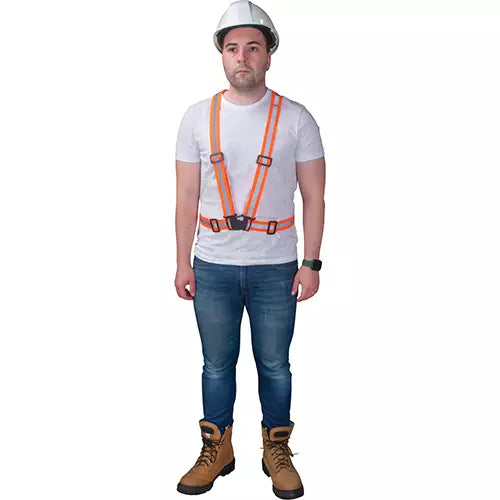 Traffic Harness Standard(s) Met - SGZ624