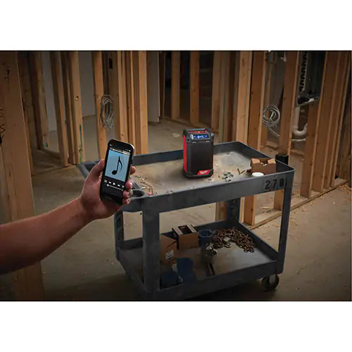 M12™ Radio & Charger (Tool Only) - 2951-20