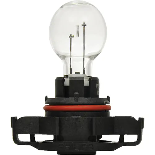 5201 Basic Fog Light Bulb - 31584