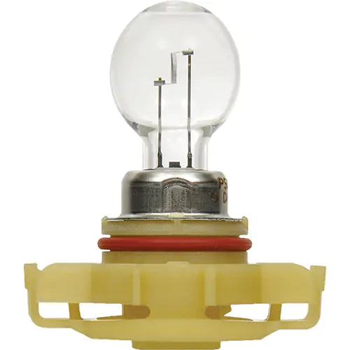 5202 Basic Fog Light Bulb - 31585