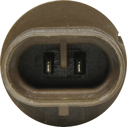 885 Basic Fog Light Bulb - 31574