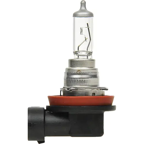 H16 Basic Fog Light Bulb - 31595