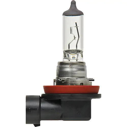 H8 Basic Headlight Bulb - 31594