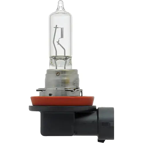 H89 Basic Headlight Bulb - 31569