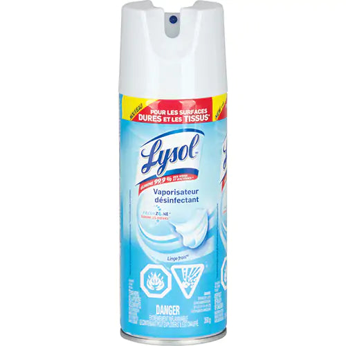 Disinfectant Spray 350 g - CB340525