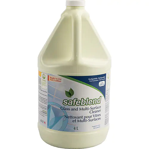 Glass & Multi-Surface Cleaner 4 L - WRBXG04