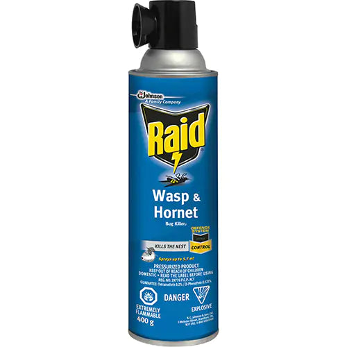 Raid® Wasp & Hornet Bug Killer - 10062300017765