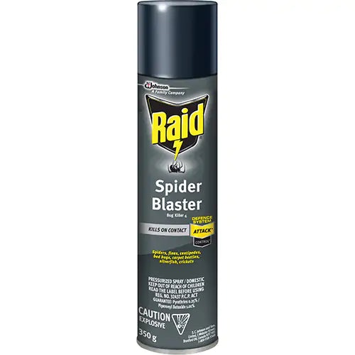 Raid® Spider Blaster Bug Killer Insecticide - 10062300060297
