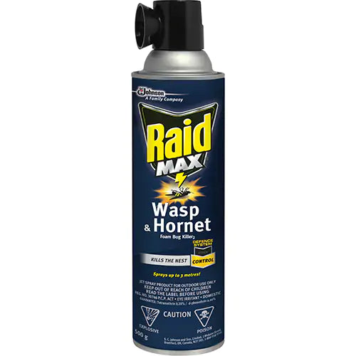 Raid® Max® Wasp & Hornet Foam Bug Killer - 10062300714114