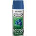 Specialty Spray Paint 290 g - 349912