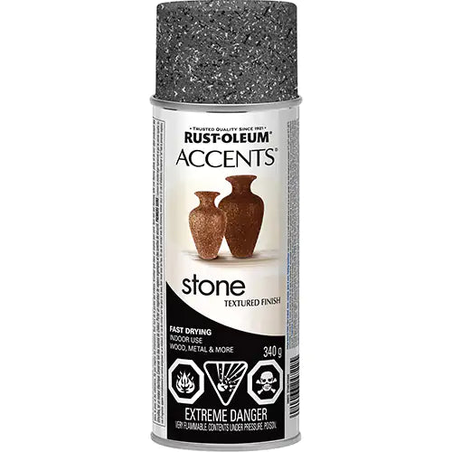 Accents® Stone Creations Spray Paint 340 g - N7992830