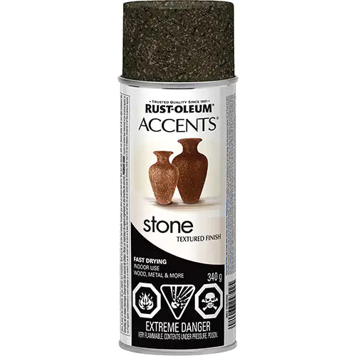 Accents® Stone Creations Spray Paint 340 g - N7989830