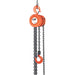 Chain Hoist - C2231A