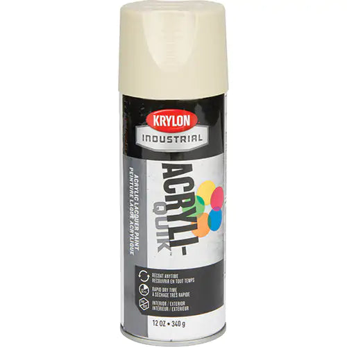Spray Paint 16 oz. - K01506A07