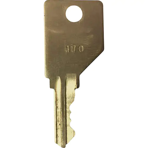 Replacement Key for Frost Smoking Receptacles - C550