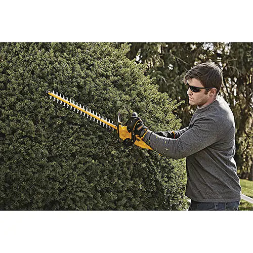 MAX* Hedge Trimmer - DCHT820P1