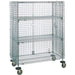 Security Carts - RL409