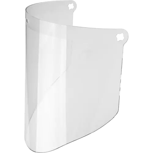 Replacement WP96 Faceshield - 82701-00000