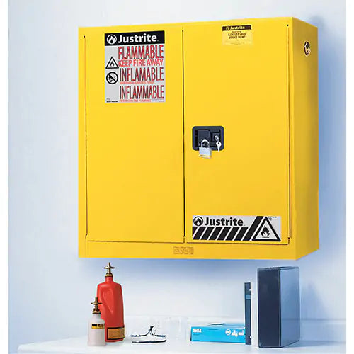 Wall Mount Sure-Grip® Ex Safety Cabinets - 893400