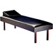 Recovery Couches/Medical Beds with Head Rest - SAY619
