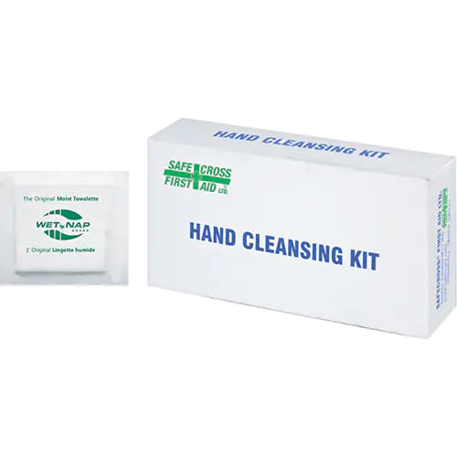Hand Cleansing Moist Wipes - 02454