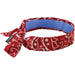 Chill-Its® 6700CT Cooling Bandanas - 12563