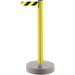 Outdoor TensaBarrier® Barrier Post - 885-35-MAX-NO-D4X-C