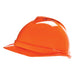 V-Gard® Protective Cap - 10034026