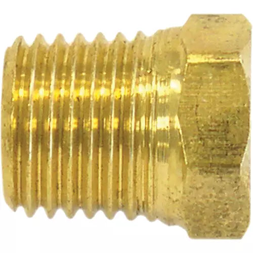 Pipe Plug (Hex Head) 1/2" NPT (M) - 41.229