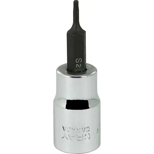 Torx® Head Socket 3/8" - T607