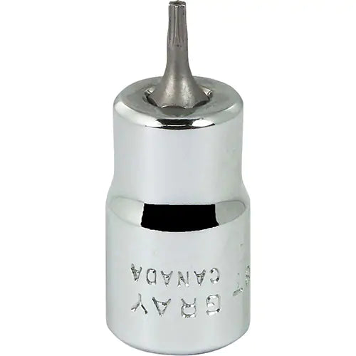 Torx® Head Socket 3/8" - T608T